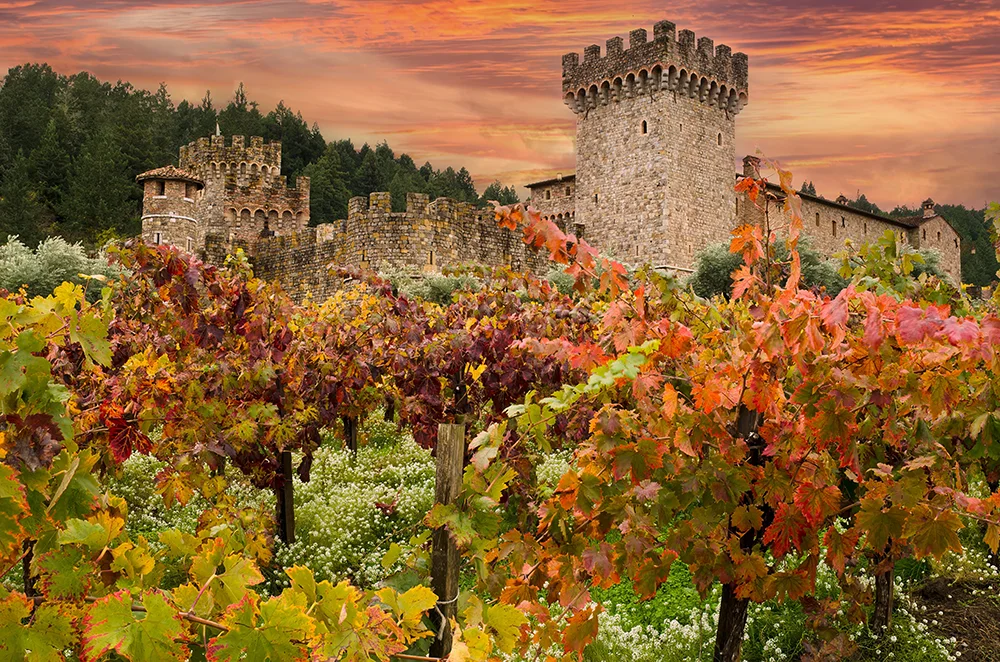 Napa Valley, California